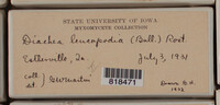 Image Associated With the Occurence